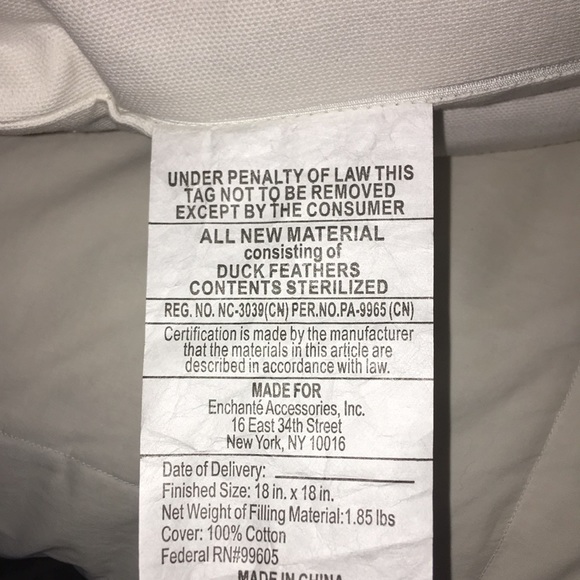 Rae Dunn pillow 2 pack feathers - Picture 3 of 4